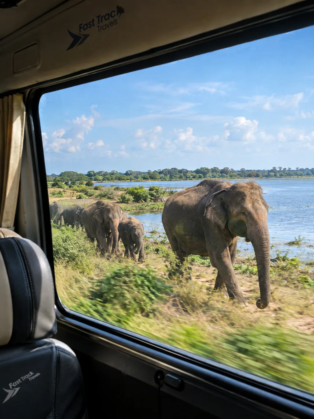 Luxury Chauffeur Service Sri Lanka