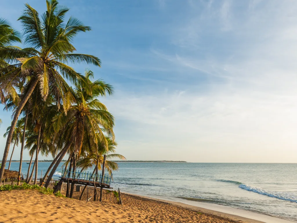 Arugam Bay 1