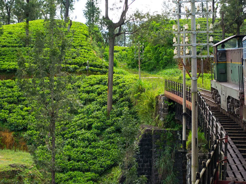 Bandarawela 1