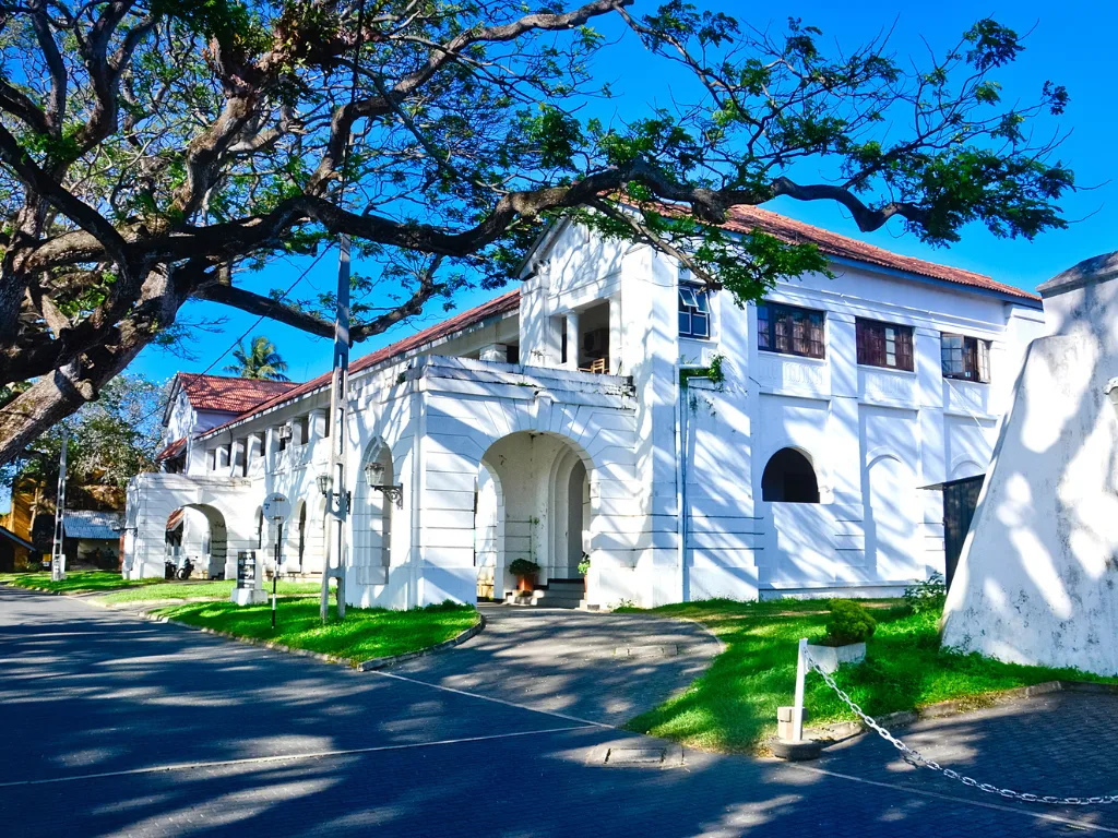 Galle 4