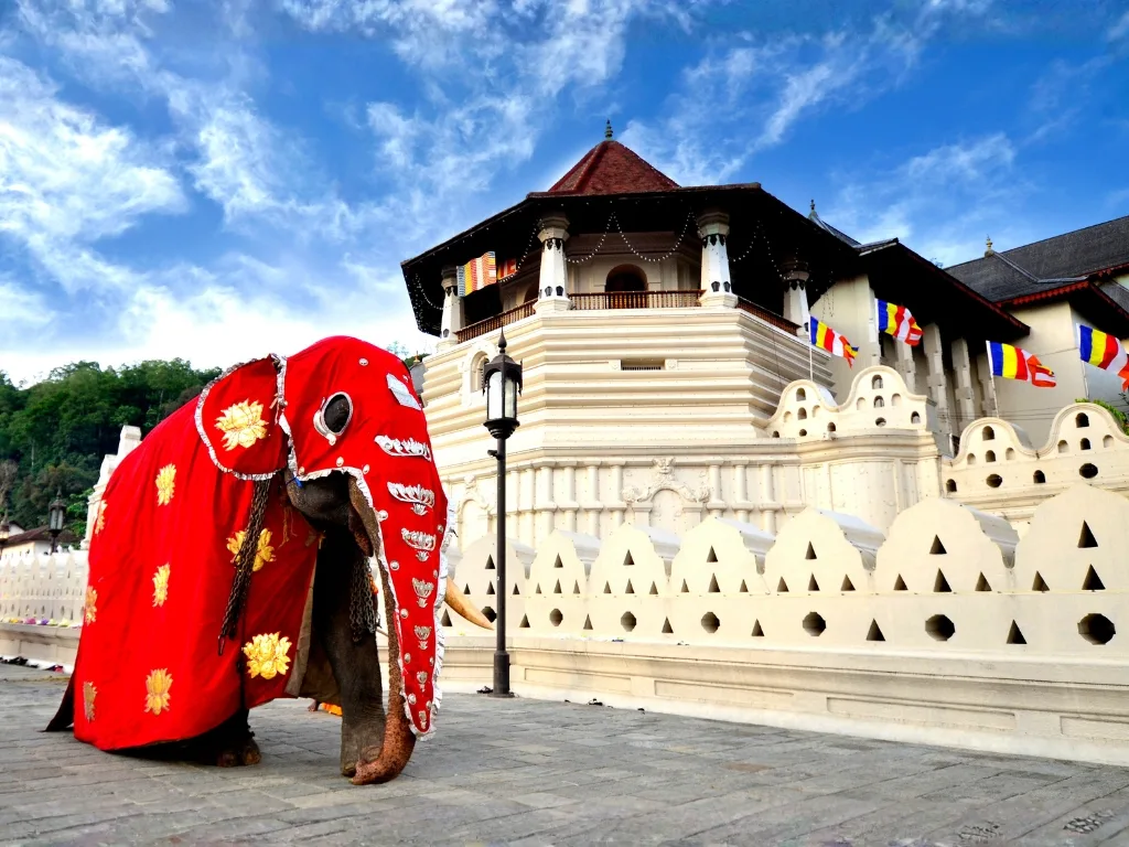 Kandy 1