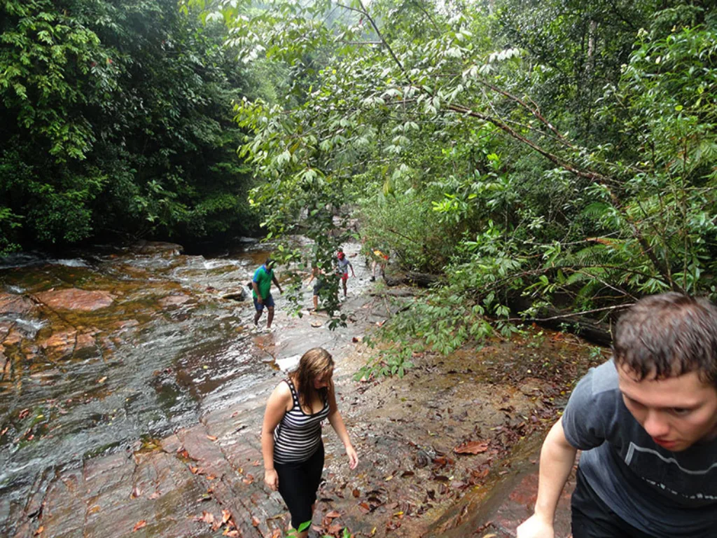 Kitulgala 4