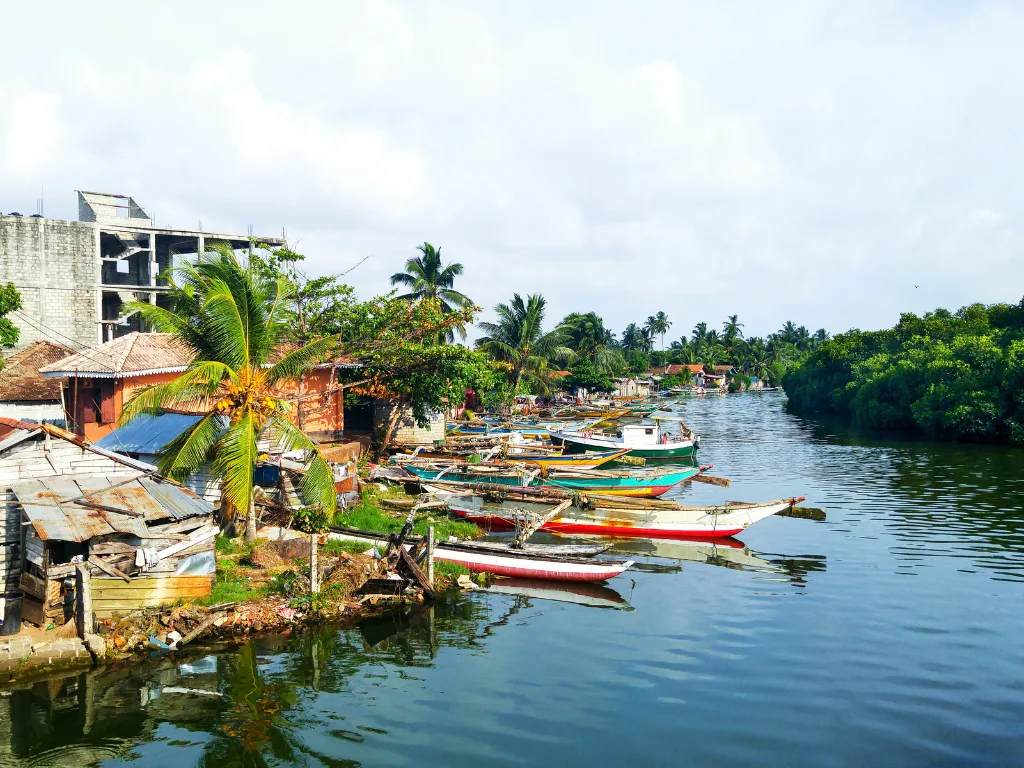 Negombo 4