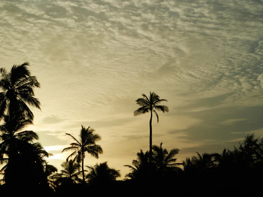 Nilaveli 2