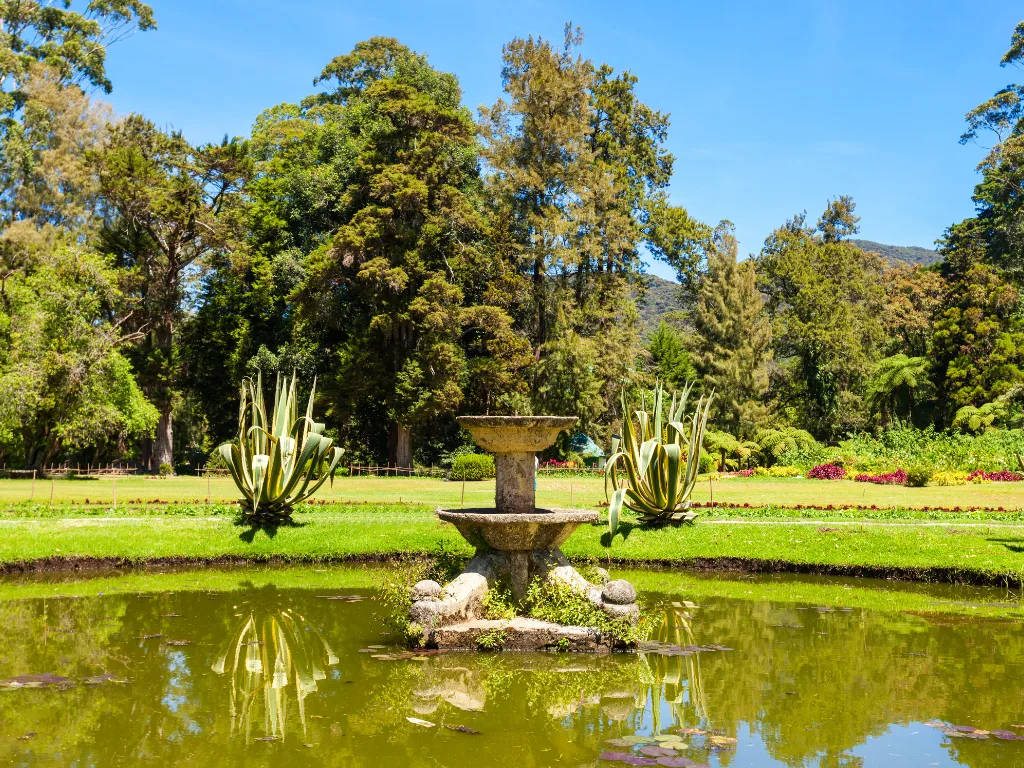 Nuwara Eliya 4