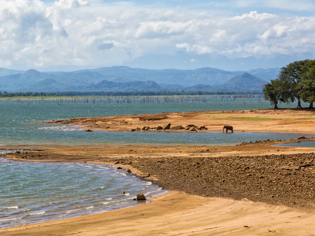 Udawalawe 4