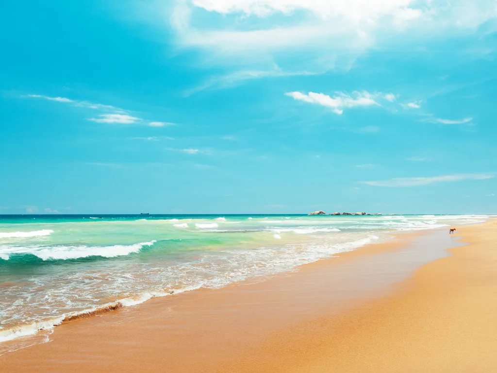 Weligama 4