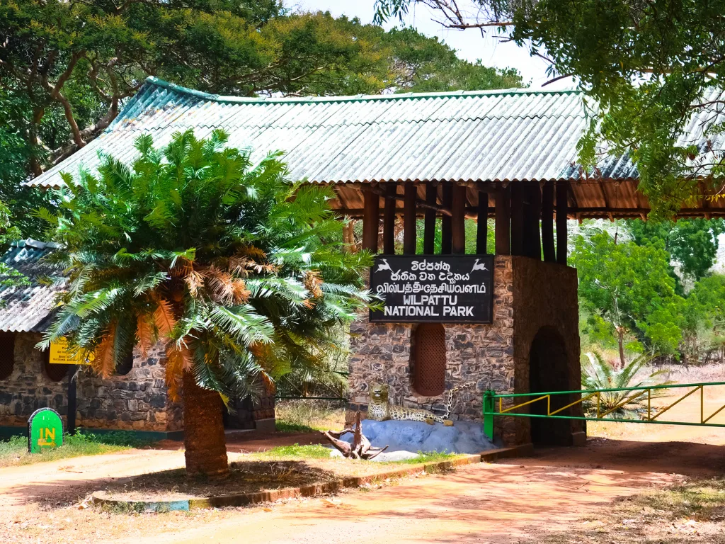 Wilpattu 3