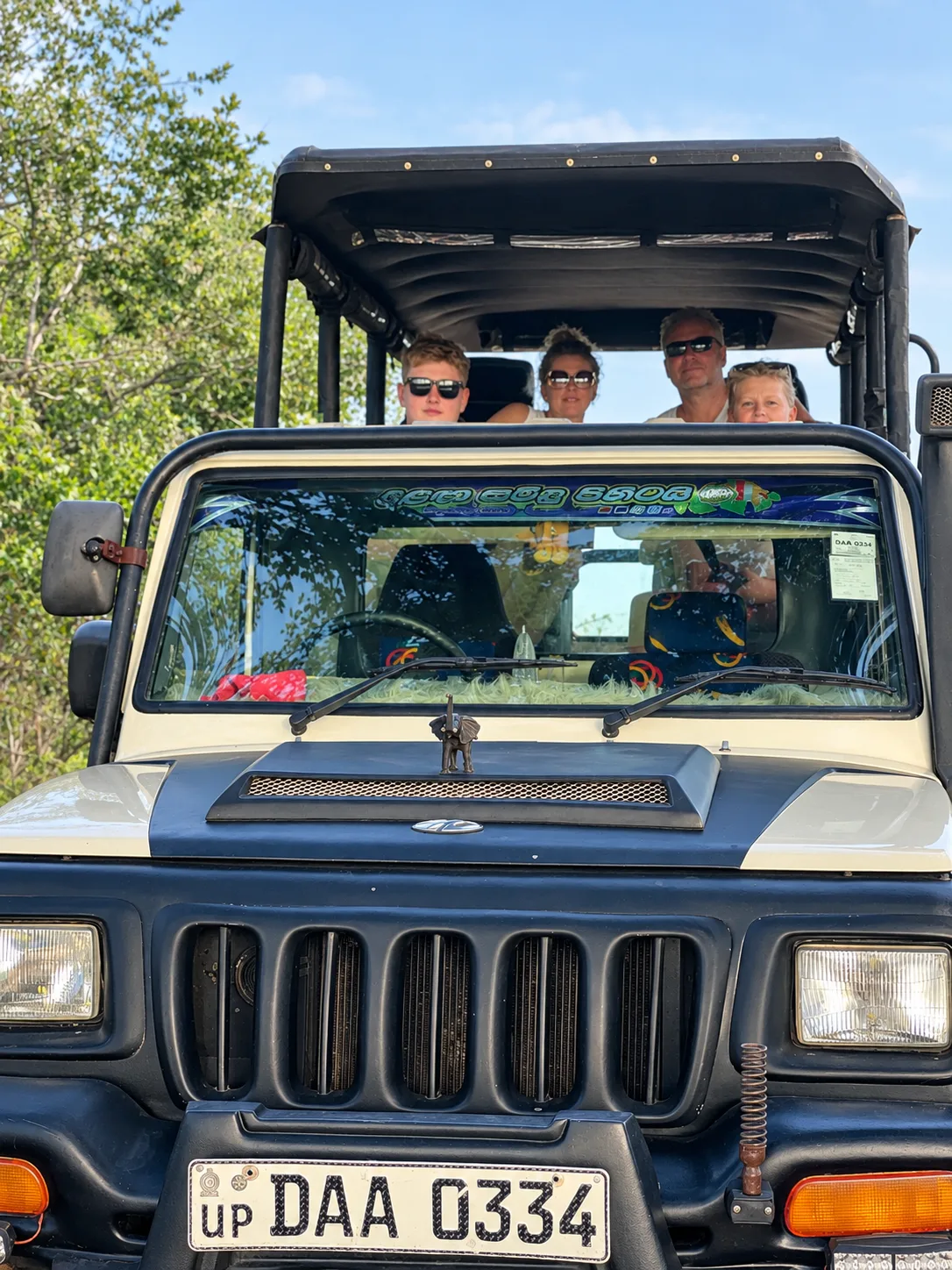 Professional Travel Service
